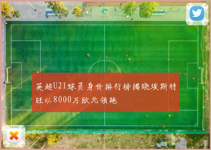 英超U21球员身价排行榜揭晓埃斯特旺以8000万欧元领跑