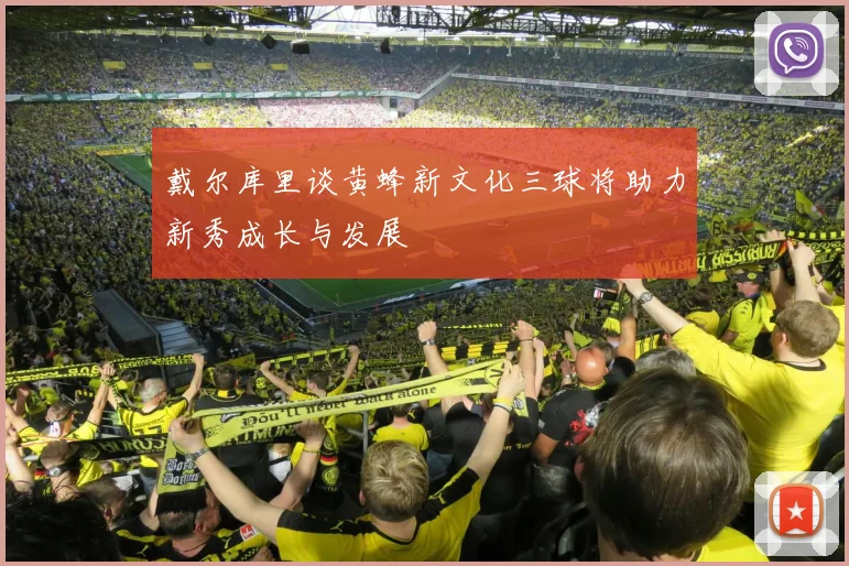 戴尔库里谈黄蜂新文化三球将助力新秀成长与发展