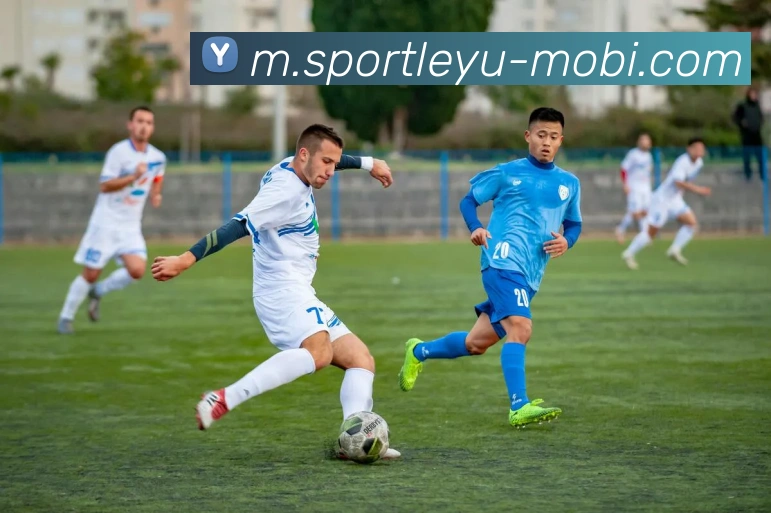 乐鱼体育服务体系